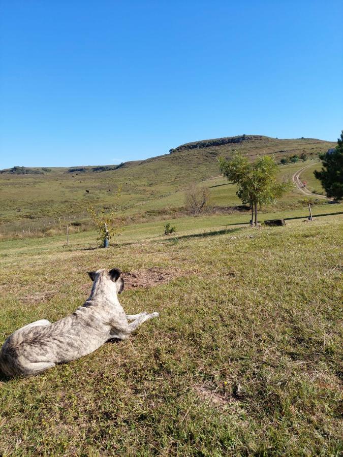 Cabanas Vista Verde Tacuarembó Екстериор снимка